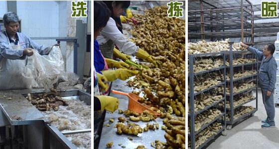 不用硫磺如何清洗生姜？